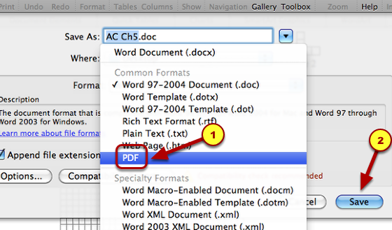 2. Choose &quot;PDF&quot;.